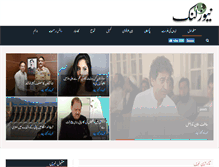 Tablet Screenshot of newslink.pk